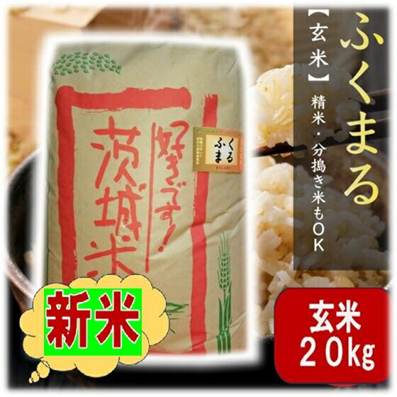 楽天ポンせんとお米専門店こいせライス★楽天月間優良ショップ受賞店★ 新米 ★ 玄米 20kg 福丸 20kg 令和7年産 「筑波山麓厳選 ふくまる 」 送料無料 f09 五分搗き 七分搗き 白米 精米選択可20キロ 高級 ブランド米 お得 おいしい 七分づき 五分づき