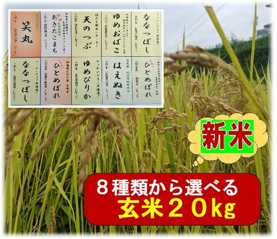 ★銘柄米各玄米20kg(数量限定)★月間優良ショップ受賞店★9種類から 選択制★令和7年産 h74★精米方法サービス(玄米のまま・白米・七分搗き..