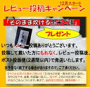 玄米 20kg 恋瀬姫の舞 令和5年産 「 筑波山麓厳選 こしひかり 」 送料無料 k14 五分搗き 七分搗き 白米 精米選択可コシヒカリ 20キロ 高級 ブランド米 お得 特A お米 20kg おいしい 五分づき 七分づき 2