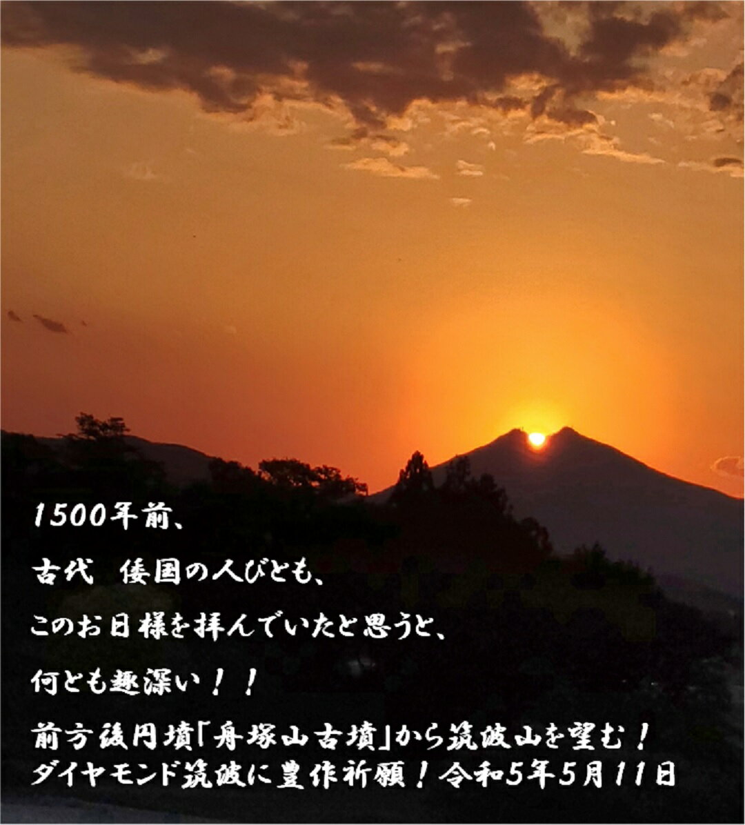 玄米 20kg 恋瀬姫の舞 令和5年産 「 筑波山麓厳選 こしひかり 」 送料無料 k14 五分搗き 七分搗き 白米 精米選択可コシヒカリ 20キロ 高級 ブランド米 お得 特A お米 20kg おいしい 五分づき 七分づき 2