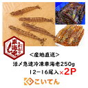 久米総合開発 車海老 250g 12−16尾入 × 2パック 活〆急速冷凍 送料無料 中サイズ 14cm前後 えび エビ 海老 車エビ 車えび くるまえび 沖縄 久米島 産地直送 刺身 しゃぶしゃぶ 海老フライ 塩焼き