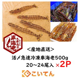 久米総合開発　車海老　500g　20−24尾入　×　2パック　活〆急速冷凍　送料無料　大　13-15cm　えび　エビ　海老　車エビ　車えび　くるまえび　沖縄　久米島　産地直送　刺身　しゃぶしゃぶ　海老フライ　塩焼き