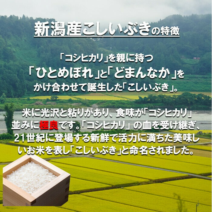 新米　田中米穀　新潟産　こしいぶき　無洗米 10kg　(5kg×2袋)【送料無料　北海道...