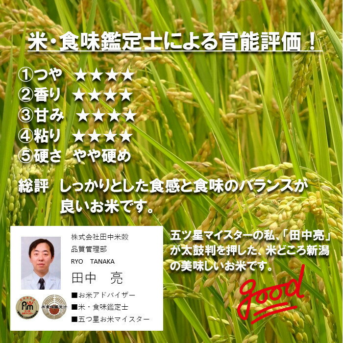 新米　田中米穀　新潟産　こしいぶき　無洗米 10kg　(5kg×2袋)【送料無料　北海道...