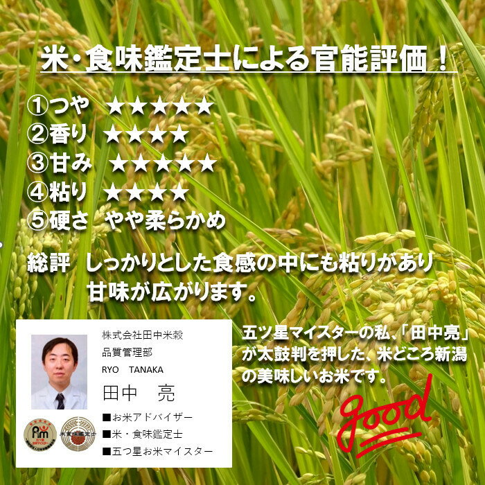 新米　田中米穀　新潟長岡産　こしひかり　20kg　(5kg×4袋)【送料無料　北海道、九...