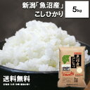 田中米穀 新潟魚沼産こしひかり5kg【送料無料 北海道、九州、沖縄、離島を除く】 新潟県産 魚沼産 令和6年度産