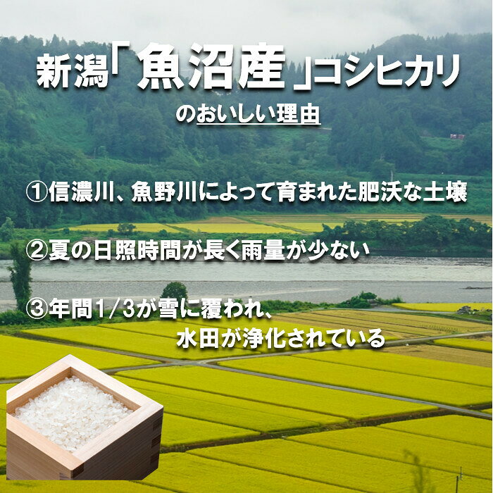 新米　田中米穀　新潟魚沼産こしひかり10kg（5kg×2袋）【送料無料　北海道、九州、沖縄、離島を除く】　新潟県産　魚沼産　令和7年度産 koiten-10000052 こいてん 楽天市場店 サンプル画像2