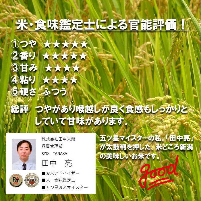 新米　田中米穀　新潟県産　新之助5kg　【送料無料　北海道、九州、沖縄、離島を除...