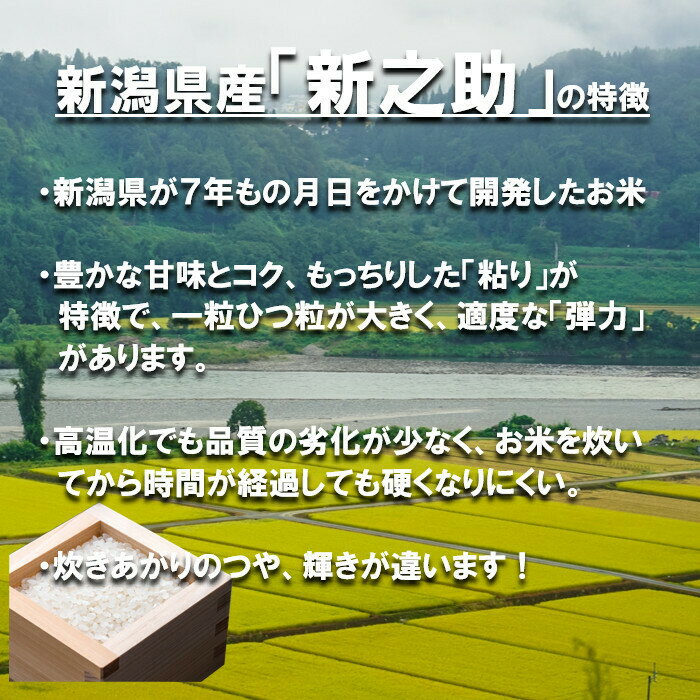 新米　田中米穀　新潟県産　新之助10kg（5kg×2袋）【送料無料　北海道、九州、沖縄...