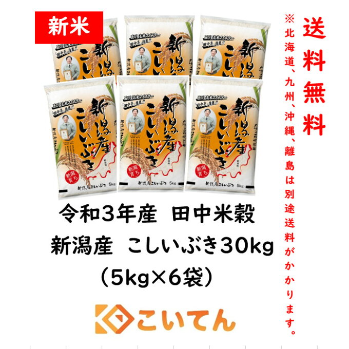 田中米穀　新潟産こしいぶき30kg(5kg×6袋)【送料無料　北海道、九州、沖縄、離島を除く】　新潟県産　新米　令和3年度産　産地直送