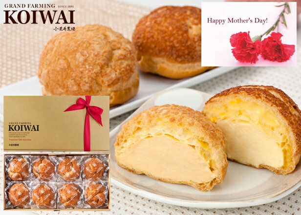 【母の日限定カード・リボンラッピング対応可】【小岩井農場シュ