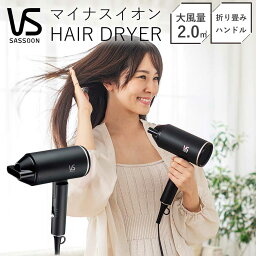 【メーカー公式】ヴィダルサスーン マイナスイオンドライヤー VSD-1241 | 送料無料 大風量 ヘアドライヤー ヘアドライアー ドライアー 温風 冷風 風量調整 コンパクト 折りたたみ 速乾 マット調 黒 おすすめ VS ビダルサスーン ギフト プレゼント 男女兼用 2023