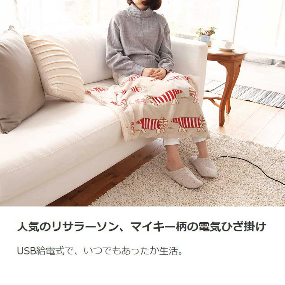 スウェーデンを代表する陶芸デザイナーであるリサ・ラーソン氏。こちらは日本でも人気の、猫のマイキーをあしらった電気ひざ掛け。USB給電なのでパソコンからもOK。