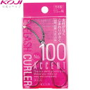 No.100 アクセントカーラー