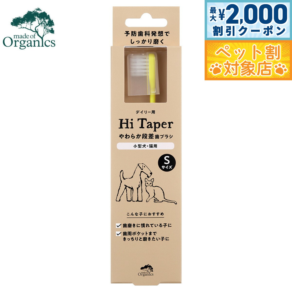 �ں���2000��OFF�����ݥ󡪡�Ź��ݥ���Ⱥ���62�ܡ��������ꡪ�ۥᥤ�ɥ��֥������˥��� ���ѻ��֥饷 ���餫�ʺ����֥饷 S���᤭ �ϥߥ���