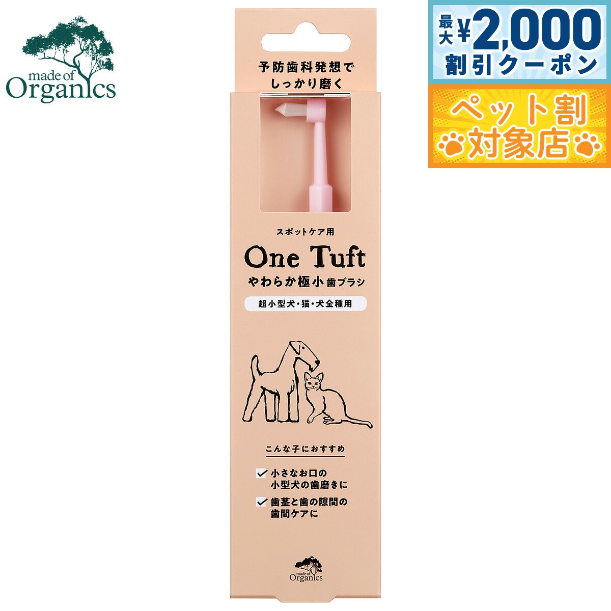 �ں���2000��OFF�����ݥ󡪡�Ź��ݥ���Ⱥ���62�ܡ��������ꡪ�ۥᥤ�ɥ��֥������˥��� ���ѻ��֥饷 ���餫�˾����֥饷 SS���᤭ �ϥߥ���