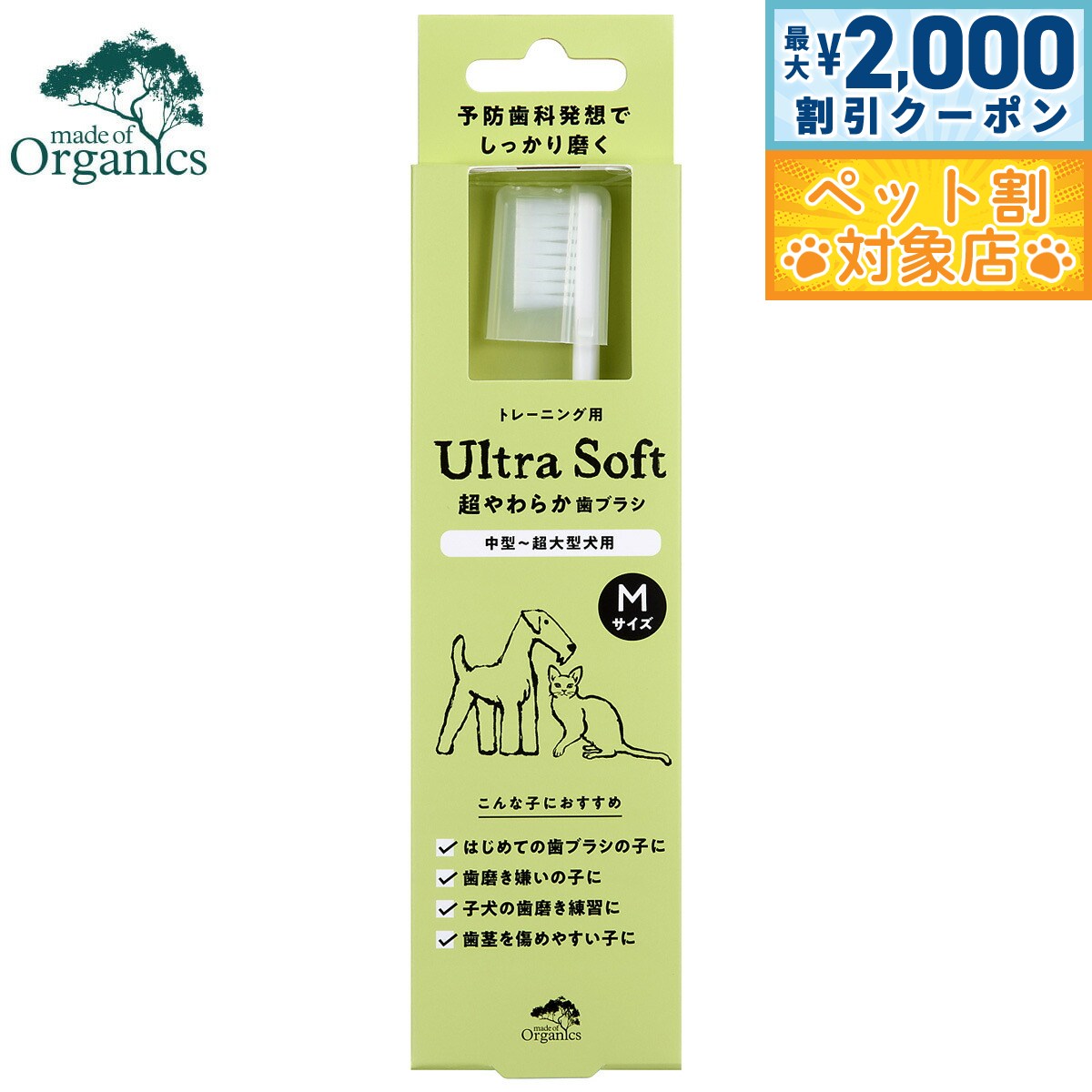 �ں���2000��OFF�����ݥ󡪡�Ź��ݥ���Ⱥ���62�ܡ��������ꡪ�ۥᥤ�ɥ��֥������˥��� ���ѻ��֥饷 Ķ���餫���֥饷 M���᤭ �ϥߥ���