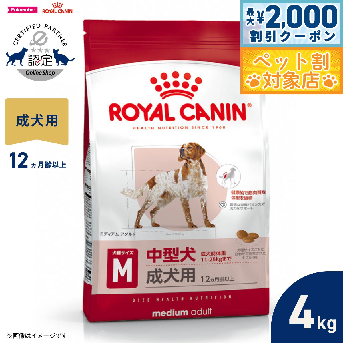 �ں���2000��OFF�����ݥ󡪡�Ź��ݥ���Ⱥ���62�ܡ��������ꡪ�ۥ�����륫�ʥ� �� �ɥå��ա��� �������إ륹�˥塼�ȥꥷ��� �ߥǥ����� ������� 4k...