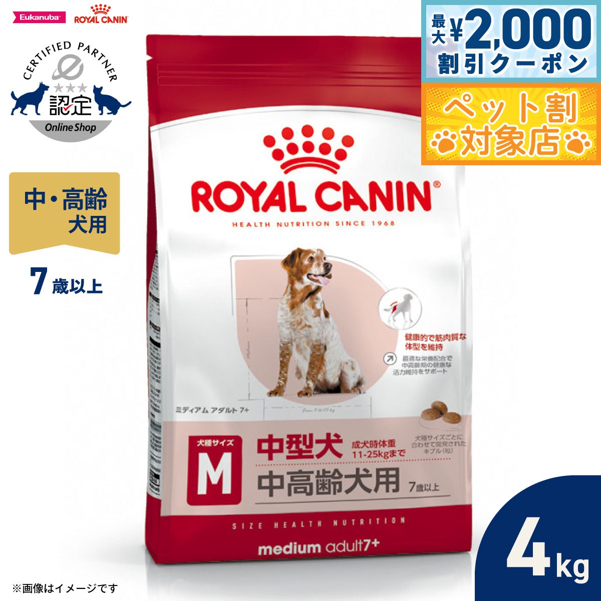 �ں���2000��OFF�����ݥ󡪡�Ź��ݥ���Ⱥ���62�ܡ��������ꡪ�ۥ�����륫�ʥ� �� �ɥå��ա��� �������إ륹�˥塼�ȥꥷ��� �ߥǥ����� ������� 7��...