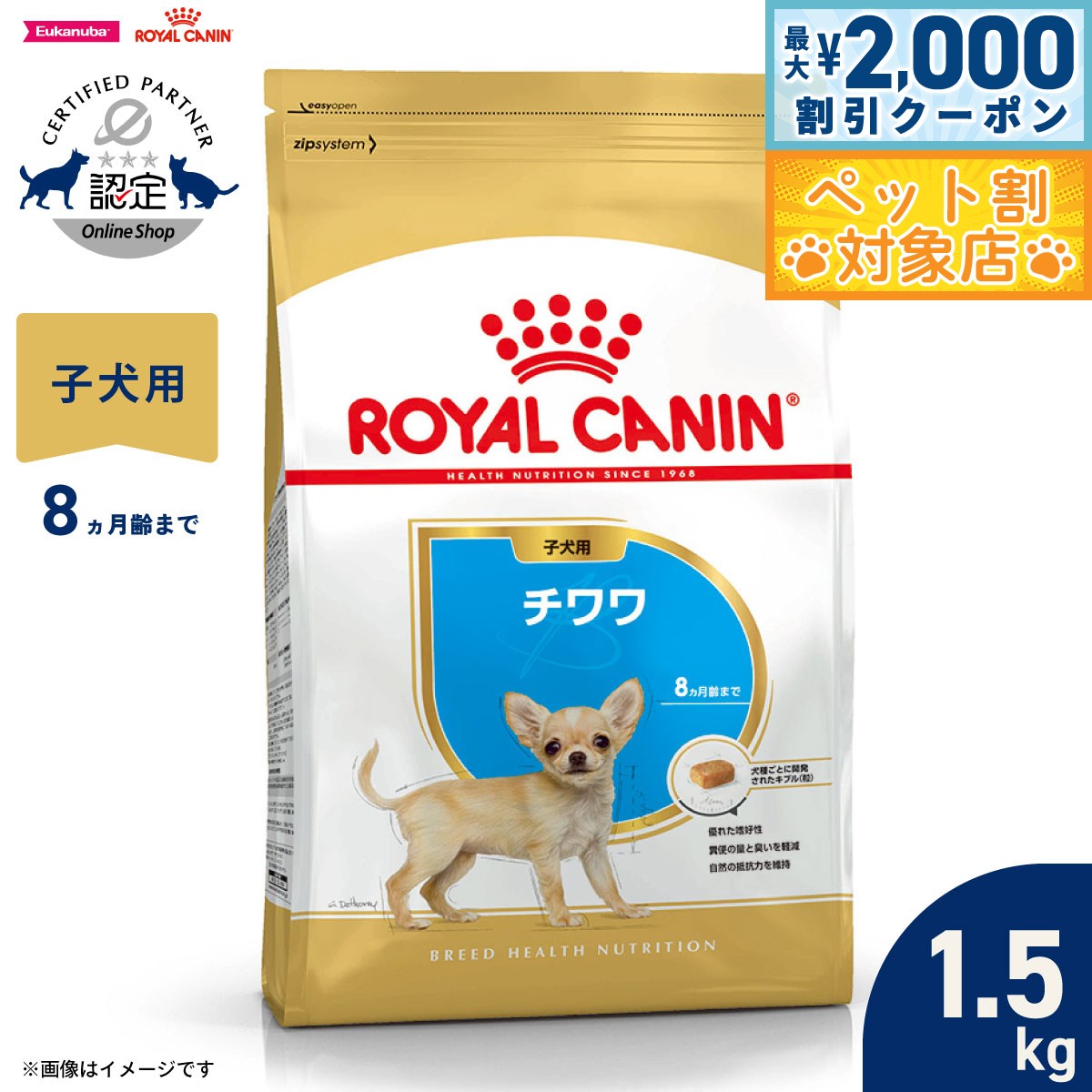 �ں���2000��OFF�����ݥ󡪡�Ź��ݥ���Ⱥ���62�ܡ��������ꡪ�ۥ�����륫�ʥ� �� �ɥå��ա��� �֥꡼�ɥإ륹�˥塼�ȥꥷ��� ��������ѥա��� �Ҹ���...