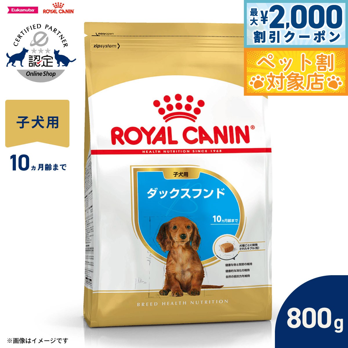 �ں���2000��OFF�����ݥ󡪡�Ź��ݥ���Ⱥ���62�ܡ��������ꡪ�ۥ�����륫�ʥ� �� �ɥå��ա��� �֥꡼�ɥإ륹�˥塼�ȥꥷ��� ���å����ե�����ѥա���...