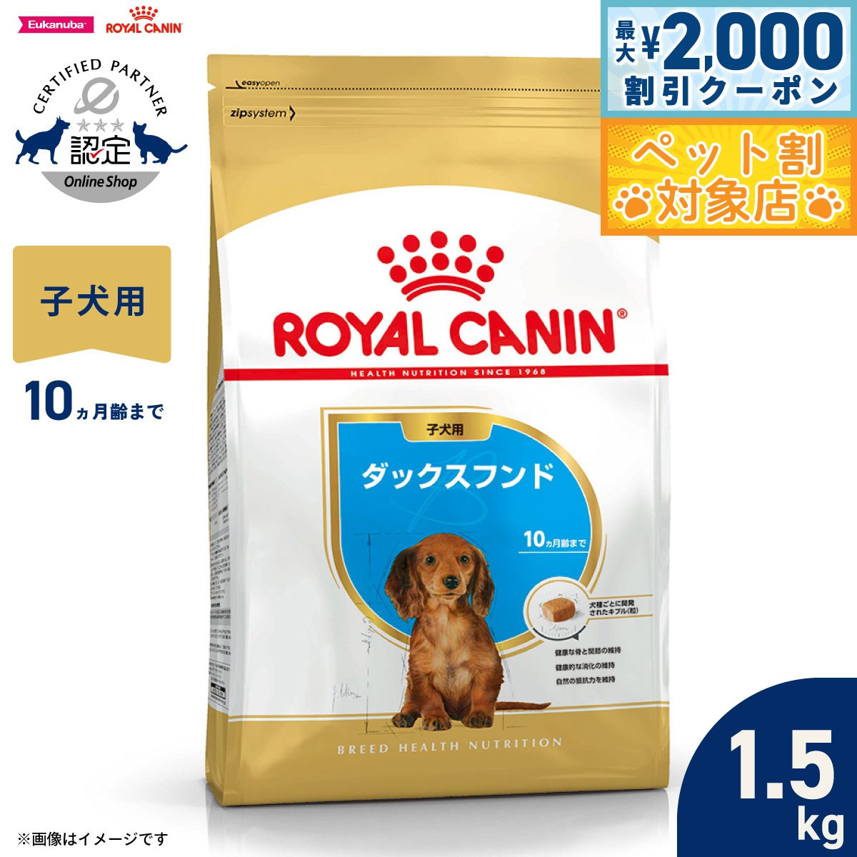 �ں���2000��OFF�����ݥ󡪡�Ź��ݥ���Ⱥ���62�ܡ��������ꡪ�ۥ�����륫�ʥ� �� �ɥå��ա��� �֥꡼�ɥإ륹�˥塼�ȥꥷ��� ���å����ե�����ѥա���...