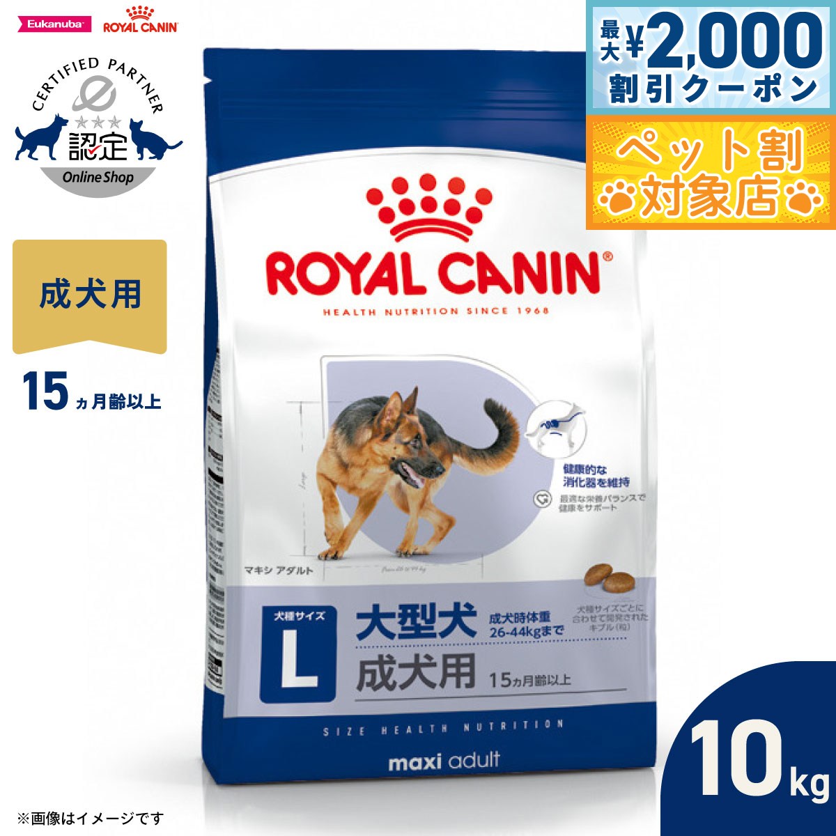 �ں���2000��OFF�����ݥ󡪡�Ź��ݥ���Ⱥ���62�ܡ��������ꡪ�ۥ�����륫�ʥ� �� �ɥå��ա��� �������إ륹�˥塼�ȥꥷ��� �ޥ��� ������� 10kg...