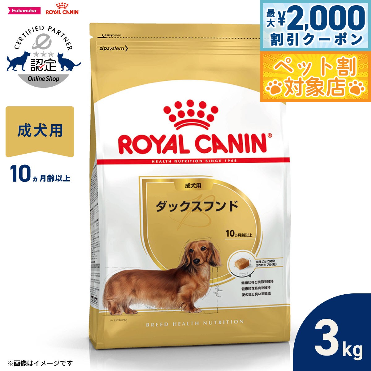 �ں���2000��OFF�����ݥ󡪡�Ź��ݥ���Ⱥ���62�ܡ��������ꡪ�ۥ�����륫�ʥ� �� �ɥå��ա��� �֥꡼�ɥإ륹�˥塼�ȥꥷ��� ���å����ե�����ѥա���...