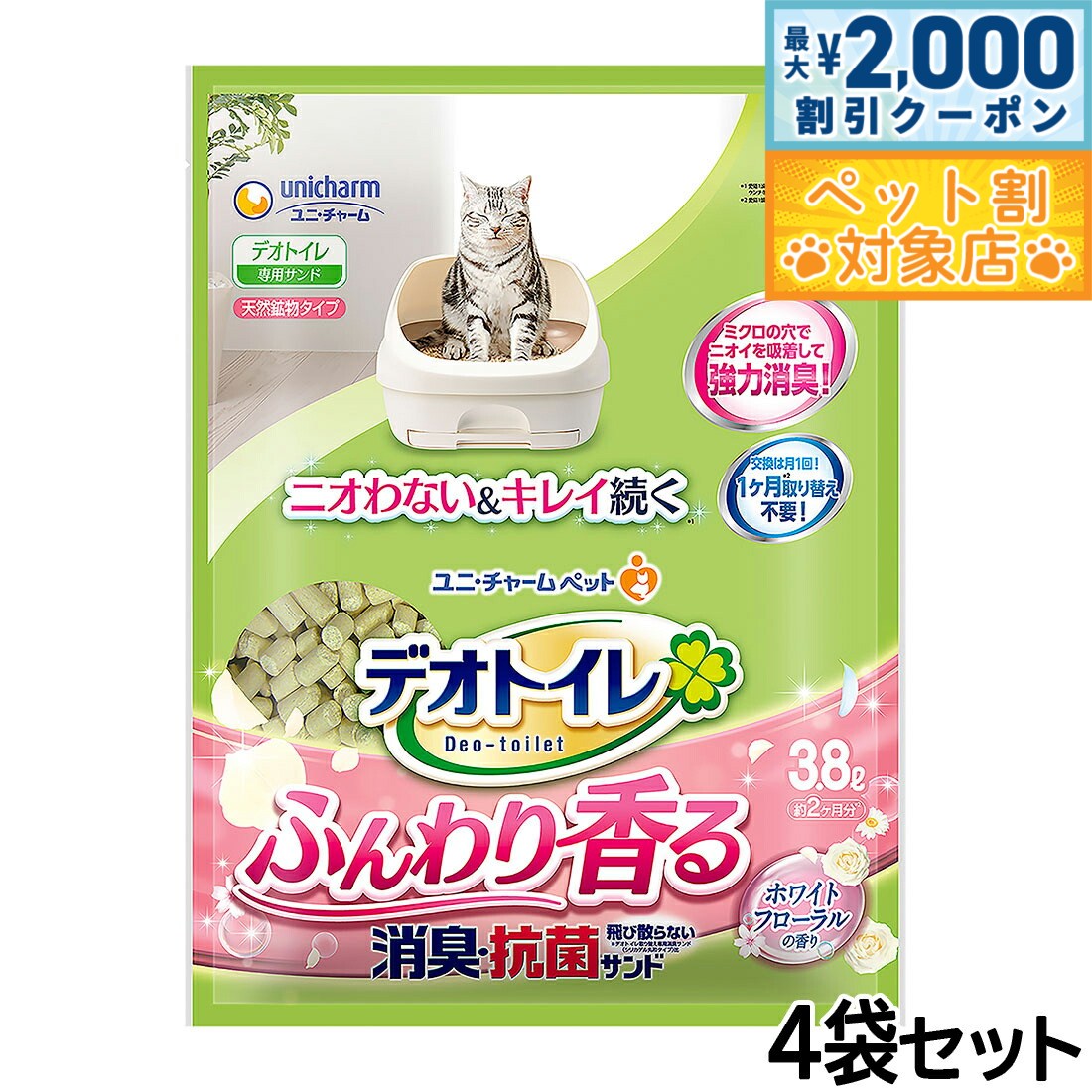 �ں���2000��OFF�����ݥ󡪡�Ź��ݥ���Ⱥ���62�ܡ��������ꡪ�ۥ�� ���㡼�� �ǥ��ȥ��� �դ�����ý� ���ݥ���� �ۥ磻�ȥե������ι�� 3.8...