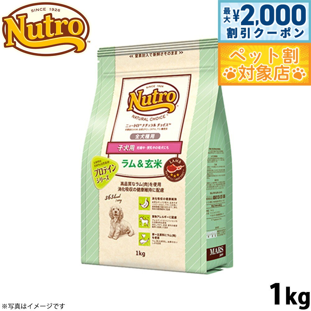 �ں���2000��OFF�����ݥ󡪡�Ź��ݥ���Ⱥ���62�ܡ��������ꡪ�ۥ˥塼�ȥ� �ʥ�������祤�� �ɥå��ա��� �������� �Ҹ��� �������� 1kg ̵ź��