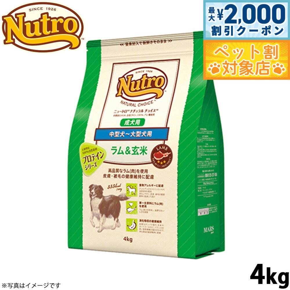 �ں���2000��OFF�����ݥ󡪡�Ź��ݥ���Ⱥ���62�ܡ��������ꡪ�ۥ˥塼�ȥ� �ʥ�������祤�� �ɥå��ա��� �������� �淿�����緿�� ������ 4kg ...