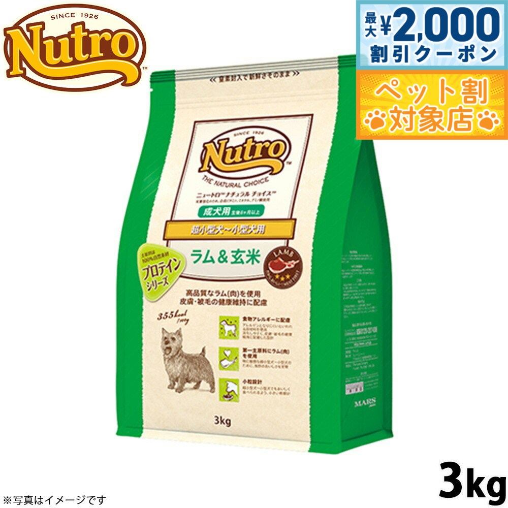 �ں���2000��OFF�����ݥ󡪡�Ź��ݥ���Ⱥ���62�ܡ��������ꡪ�ۥ˥塼�ȥ� �ʥ�������祤�� �ɥå��ա��� �������� Ķ�������������� ������ 3kg...