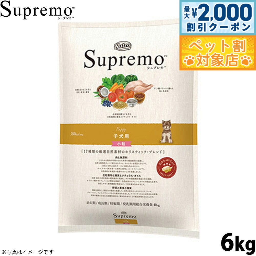 �ں���2000��OFF�����ݥ󡪡�Ź��ݥ���Ⱥ���62�ܡ��������ꡪ�ۥ˥塼�ȥ� ����ץ�� �ɥå��ա��� ������ �Ҹ��� ��γ 6kg ̵ź�� ������ �ڥå�...