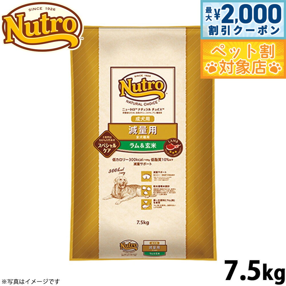 �ں���2000��OFF�����ݥ󡪡�Ź��ݥ���Ⱥ���62�ܡ��������ꡪ�ۥ˥塼�ȥ� �ʥ�������祤�� �ɥå��ա��� ������ ������ �������� 7.5kg ̵ź...