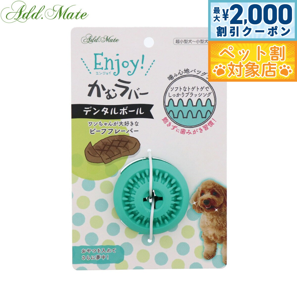 �ں���2000��OFF�����ݥ󡪡�Ź��ݥ���Ⱥ���60�ܡ��������ꡪ�ۥ��ɥᥤ�� ���Ѥ������ Enjoy�������С� �ǥ󥿥�ܡ���