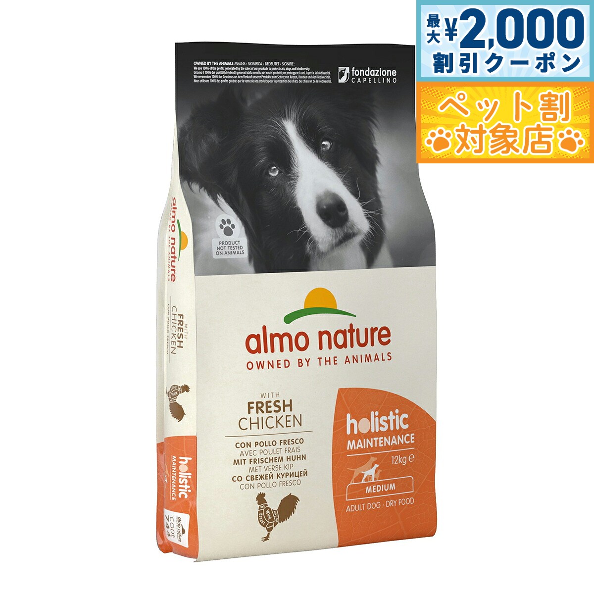 �ں���2000��OFF�����ݥ󡪡�Ź��ݥ���Ⱥ���62�ܡ��������ꡪ�ۥ����ͥ����㡼 �ɥå��ա��� �ۥꥹ�ƥ��å��ɥ饤�ա��� �淿���� ������ 12kg ��...