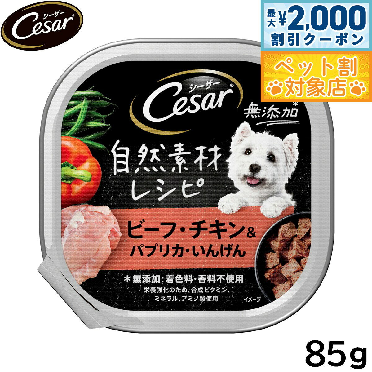 �ں���2000��OFF�����ݥ󡪡�Ź��ݥ���Ⱥ���62�ܡ��������ꡪ�ۥ������� �ɥå��ա��� �ȥ쥤 ������ �����Ǻ�쥷�� �ӡ��� ��������ѥץꥫ ���󤲤�...