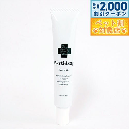 �ں���2000��OFF�����ݥ󡪡�Ź��ݥ���Ⱥ���62�ܡ��������ꡪ�ۥ������꡼�� �ǥ󥿥른���� 45g ������/ǭ����/�ڥåȥ��å�/�ڥå�����