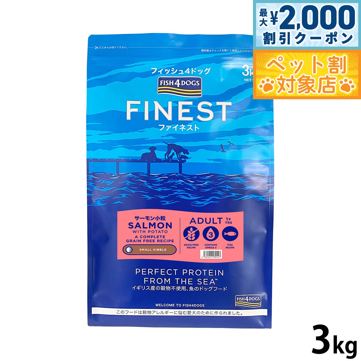 �ں���2000��OFF�����ݥ󡪡�Ź��ݥ���Ⱥ���62�ܡ��������ꡪ�ۥե��å���4�ɥå� FISH 4 DOGS �ɥå��ա��� �ե����ͥ��� ������� ��γ 3...