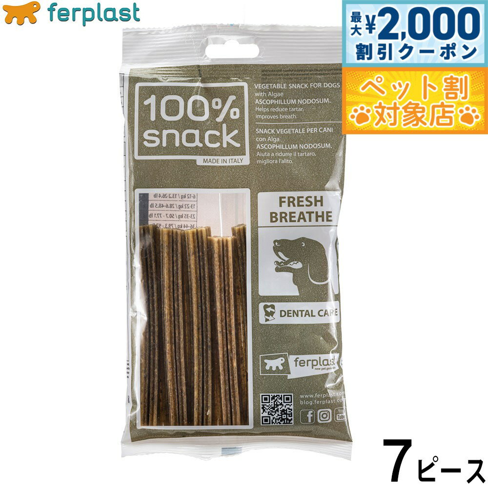 �ں���2000��OFF�����ݥ󡪡�Ź��ݥ���Ⱥ���62�ܡ��������ꡪ�ۥե����ץ饹�� ���Ѥ���� �٥����ꥢ��ǥ󥿥륹�ʥå� ���Ρ��ե졼�� �������ե���� ...