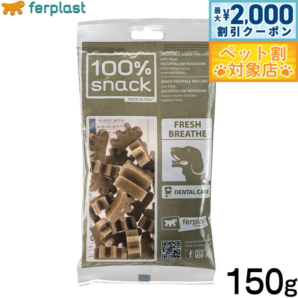 �ں���2000��OFF�����ݥ󡪡�Ź��ݥ���Ⱥ���62�ܡ��������ꡪ�ۥե����ץ饹�� ���Ѥ���� �٥����ꥢ��ǥ󥿥륹�ʥå� �ե����ԡ� �������ե���� 15...