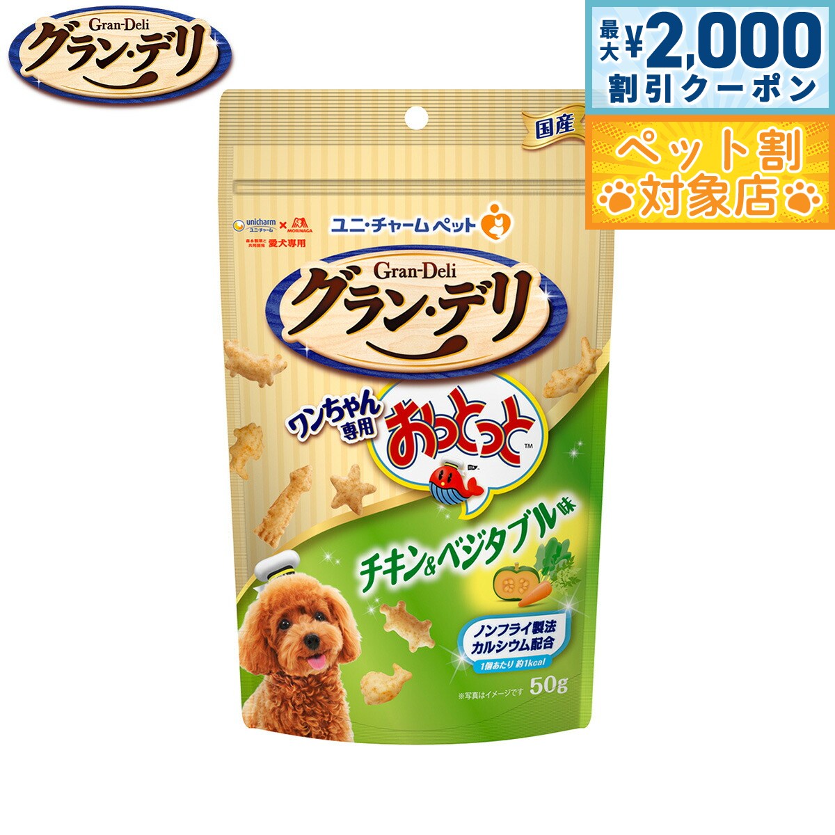 �ں���2000��OFF�����ݥ󡪡�Ź��ݥ���Ⱥ���62�ܡ��������ꡪ�ۥ�� ���㡼�� ����� �ǥ� ���Ѥ���� ����������Ѥ��äȤä� ��������٥����֥�̣ ...