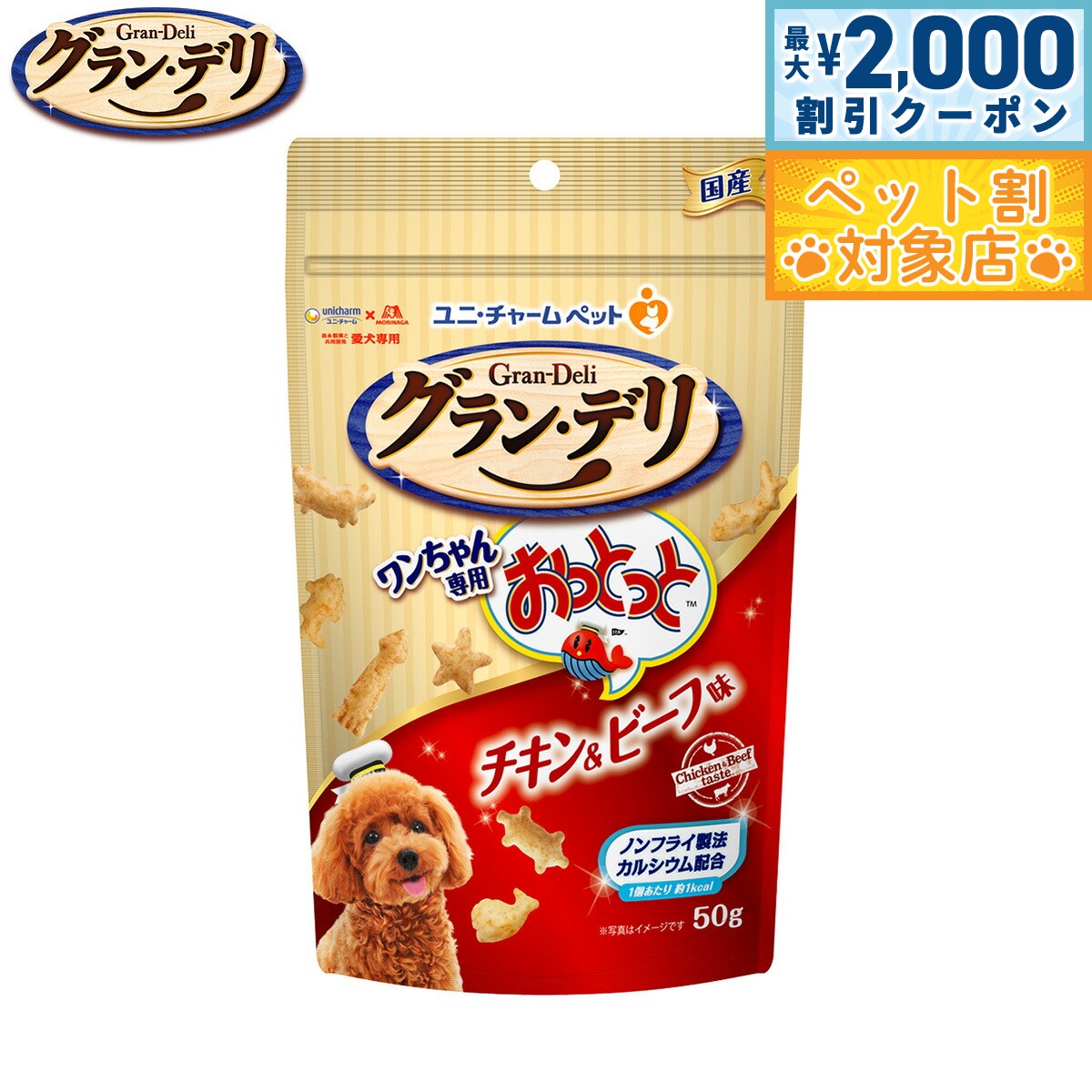 �ں���2000��OFF�����ݥ󡪡�Ź��ݥ���Ⱥ���62�ܡ��������ꡪ�ۥ�� ���㡼�� ����� �ǥ� ���Ѥ���� ����������Ѥ��äȤä� ��������ӡ���̣ 50...