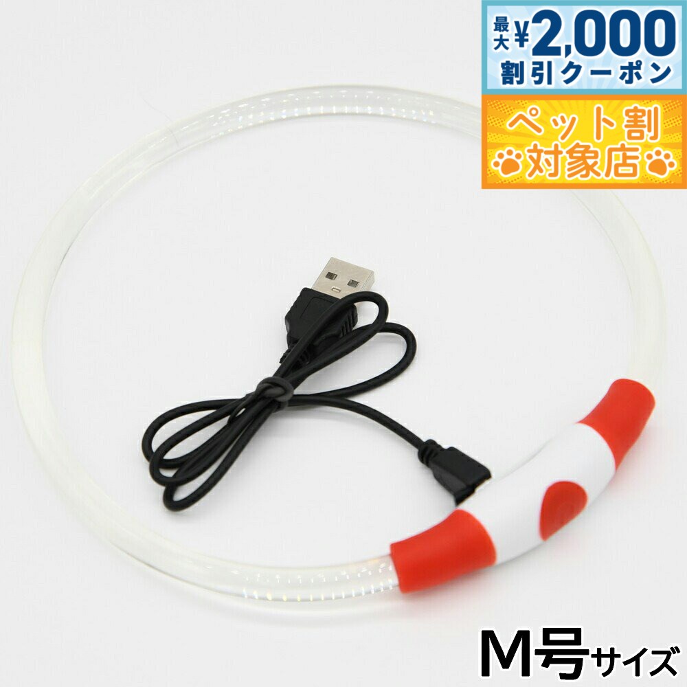 �ں���2000��OFF�����ݥ󡪡�Ź��ݥ���Ⱥ���62�ܡ��ޥ饽����ꡪ�ۥ��������� GEWALK LED �����եƥ��ե�å���ͥå���� M�� ��å�