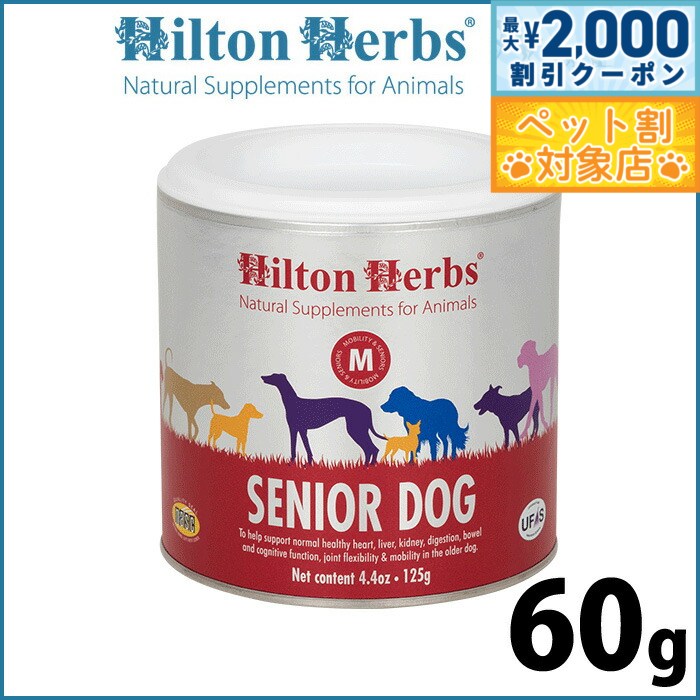 �ں���2000��OFF�����ݥ󡪡�Ź��ݥ���Ⱥ���62�ܡ��������ꡪ�ۥҥ�ȥ�ϡ��� ���˥��ɥå��ʵ�٥ƥ��� 60g ���ץ���� �ϡ��� ������