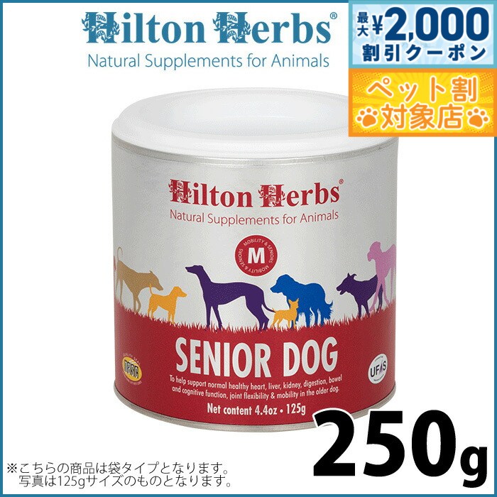 �ں���2000��OFF�����ݥ󡪡�Ź��ݥ���Ⱥ���62�ܡ��������ꡪ�ۥҥ�ȥ�ϡ��� ���˥��ɥå��ʵ�٥ƥ��� 250g ���ץ���� �ϡ��� ������ ����...