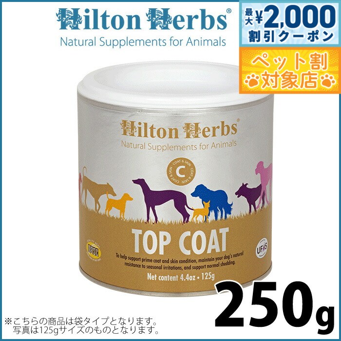 �ں���2000��OFF�����ݥ󡪡�Ź��ݥ���Ⱥ���62�ܡ��������ꡪ�ۥҥ�ȥ�ϡ��� �ȥåץ����� 250g ���ץ���� �ϡ��� ���� ���ӤΥ��ݡ��� ����̵...