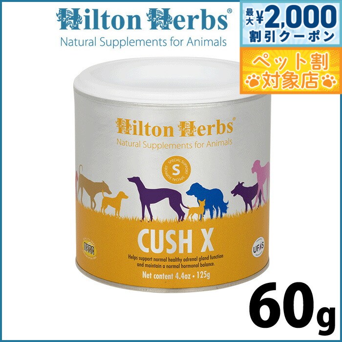 �ں���2000��OFF�����ݥ󡪡�Ź��ݥ���Ⱥ���62�ܡ��������ꡪ�ۥҥ�ȥ�ϡ��� ���å����å��� 60g ���ץ���� �ϡ��� �ʥ����� ���å��󥰾ɸ���...