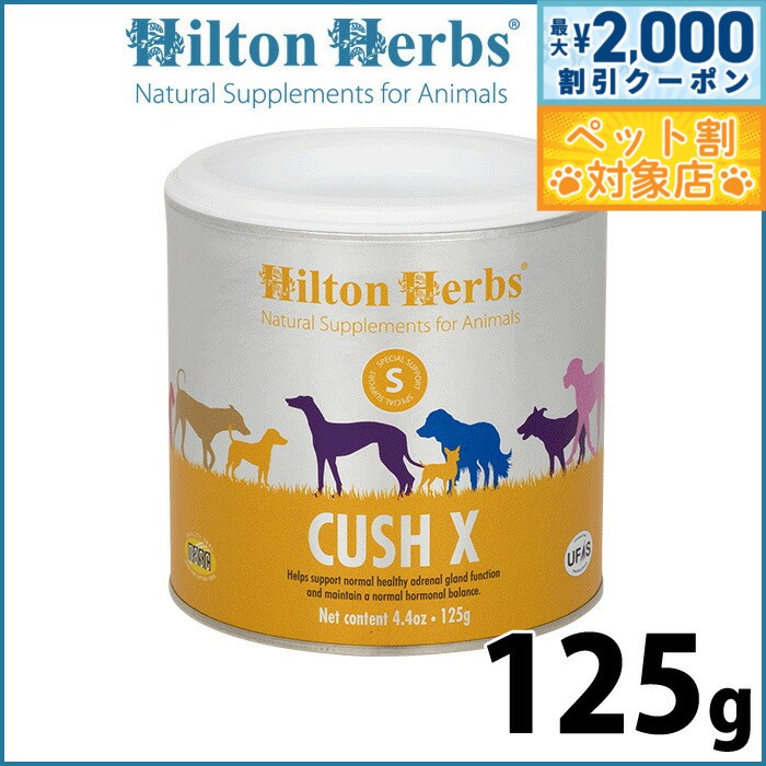 �ں���2000��OFF�����ݥ󡪡�Ź��ݥ���Ⱥ���62�ܡ��������ꡪ�ۥҥ�ȥ�ϡ��� ���å����å��� 125g ���ץ���� �ϡ��� �ʥ����� ���å��󥰾ɸ�...