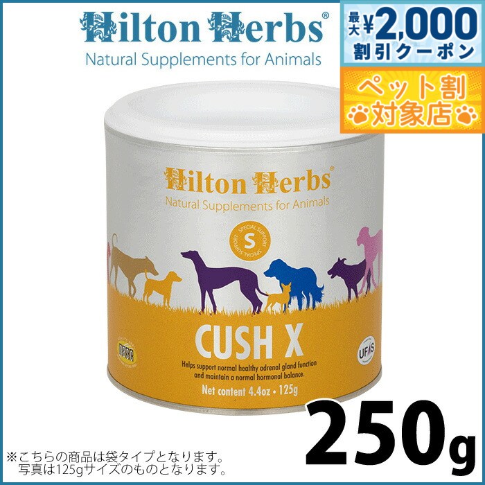 �ں���2000��OFF�����ݥ󡪡�Ź��ݥ���Ⱥ���62�ܡ��������ꡪ�ۥҥ�ȥ�ϡ��� ���å����å��� 250g ���ץ���� �ϡ��� �ʥ����� ���å��󥰾ɸ�...